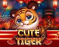 CUTE TIGER MC